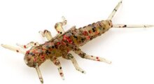 FISHUP Stonefly 0.75" (12pcs.), #045 - Green Pumpkin/Red & Black