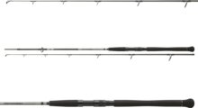 Daiwa Powermesh Catfish Spin 902XHFS (2sct, -185g, 2.70m)
