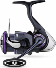 Daiwa 25 Prorex V LT 2000S-XH