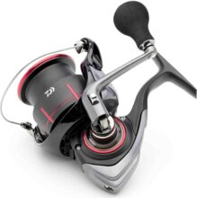 Daiwa 25 TDM QD 4012