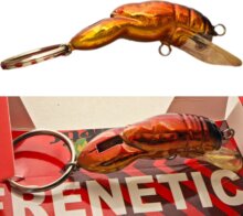 Frenetic kulcstartó rák 1