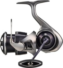 Daiwa 25 Caldia LT FC 2000S (6BB, 150/0.14, 200/0.05)