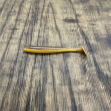 Just Fish Baits Kitara SR Gitano Barbel