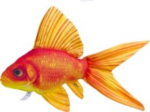 Halas Párna Aranyhal 50Cm