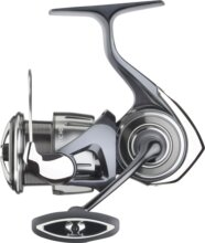 Daiwa 25 Ballistic HD LT 5000D-CXH