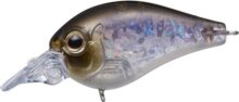 Evergreen Piccolo Dive Shallow 4cm 6.4g #383 Neon Wakasagi