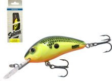 Salmo Rattlin Hornet H5 5F Csh