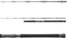 Daiwa Saltiga Jigging 582XXHFS Jigging (1+1sct, 150-300g, 1.70m, PE6)