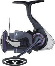 Daiwa 25 Prorex V LT 2000