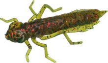 FISHUP Dragonfly 1.7" (8pcs.), #019 - Motor Oil/Red