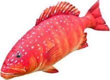 Pillow The Coral Trout 81 Cm