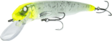 Savage Gear SHSKFLNK250-LMNHDGLT SKR FLNK 250 LMHDGL wobbler