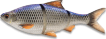 Savage Gear 3D LT ROACH 18CM 86G S BLUE ROACH gumihal