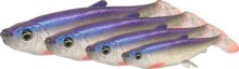 Savage Gear 3D HERRING SHAD 11CM 9G GOBY 40PCS gumihal