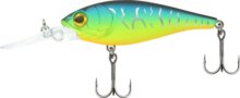 Reiva Rapper FireTiger wobbler