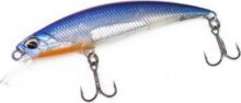 HFL ASPpanic Junior - Clear cobalt back