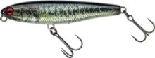 Illex Bonnie 6,5cm Silent RT Biwako Bass
