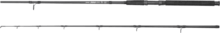 PZ Darius Spin 300cm, 50-100g