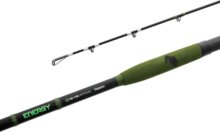 Delphin ENERGY Catfish 310cm 250-500g