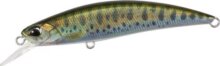 Duo Spearhead Ryuki 70S 7cm 9g Ana4834 Yamame Nd Ii
