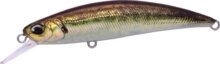 Duo Spearhead Ryuki 70S 7cm 9g Ana0488 Real Aji