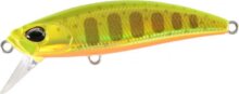 Duo Spearhead Ryuki 51S 5.1cm 5.5g Ana4056 Golden Yamame