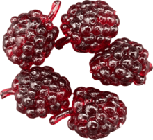 FISHUP Berry 0.6" (5pcs.), #505 - Morello
