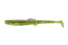 Bite On Anchovy Kivi
