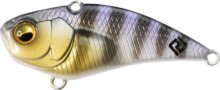 Raid Japan Raid Level Vib Boost Heat2 9g 38mm 007 Chi Gill