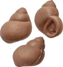 CarpZoom Pop-up csiga imitáció, speciális, barna, 10db