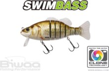 Biwaa Swimbass 6" Slow Sink 15cm 65g 12 Carassin