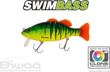 Biwaa Swimbass 6" Slow Sink 15cm 65g 04 Fire Tiger