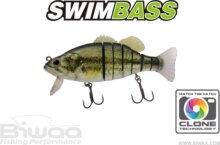 Biwaa Swimbass 6" Slow Sink 15cm 65g 01 Real Bass