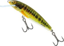 Salmo Wobbler Minnow M6F Hp