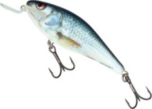 Salmo Wobbler Executor Iex5Srf Rd