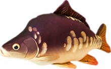 Halas Párna Ponty Baby