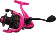 Frenetic Amazon Spin 40