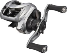 Daiwa Zillion SV TW 1000PL 8BB, 80/0.36