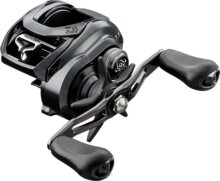 Daiwa Tatula TWS 300HL (7BB, 200/0.34)