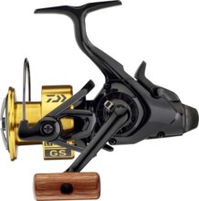 Daiwa GS BR LT 5000-C (4BB, 150/0.37)