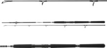 Daiwa BG Offshore Pilk 1002XH 2sct, 50-165g, 3.00m
