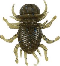 Duo Realis Koninmushi 3.2cm