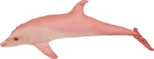 Halas Párna Delfin Baby Pink 55Cm