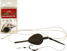 Carp Expert Leadfree Go Green  Inline Blow -Back Rig 80G