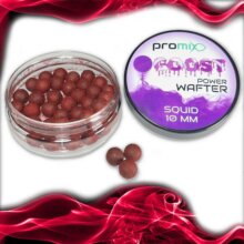 Promix Goost Power Wafter Squid 10mm csali