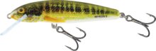 Salmo Wobbler Minnow M6S Hrm