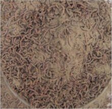 Tr Add. Joker Separator, Sz.Lárva Szétválasztó