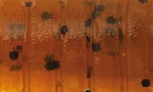 Rapture Ulc Cricket 33mm/1ggeen Pumpkin Bf 8 db lágygumi csali