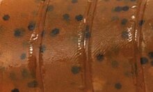 Rapture Ulc Baby Cray 40mm/1gg.Pumpk. Bf 8 db lágygumi csali