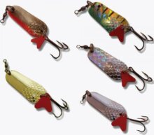 Frenetic 5TOPB02, 3, 40g, arany